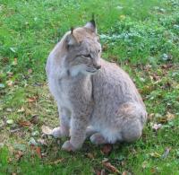 Wanderung zum Wietze-Park