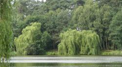 Herbstwanderung Bordenauer See