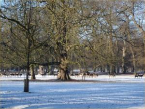 Rundgang durch den Tiergarten Kirchrode