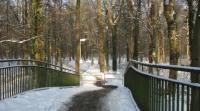 Winter in der Eilenriede