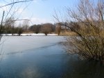 Teich in der Leinemasch